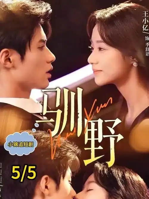 青瓷旧梦 热播电视剧全集免费播放
